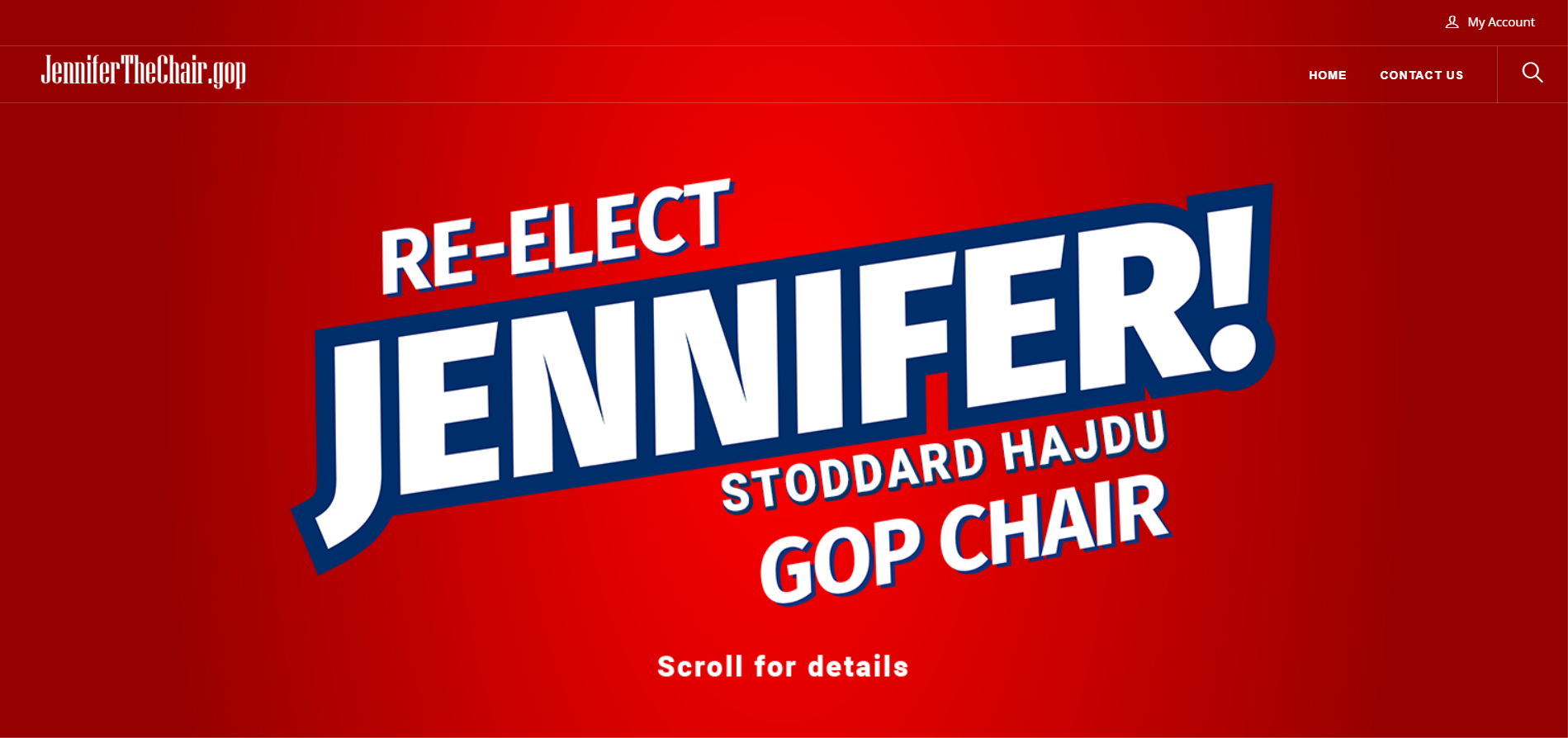 Re-Elect Jennifer Stoddard Hajdu Dallas County Republican Party Chair